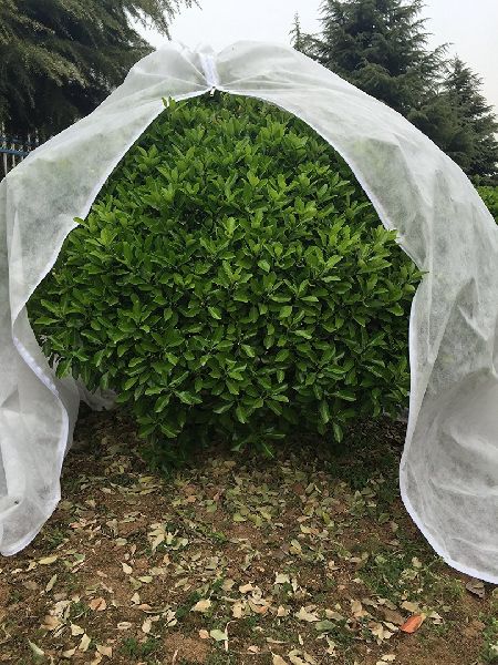 Non Woven Plant cover